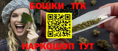apvp Кингисепп