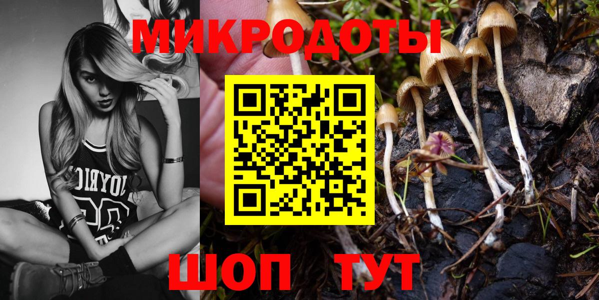 Кирово-Чепецк  Галлюциногенные грибы Psilocybe  Вход с VPN 