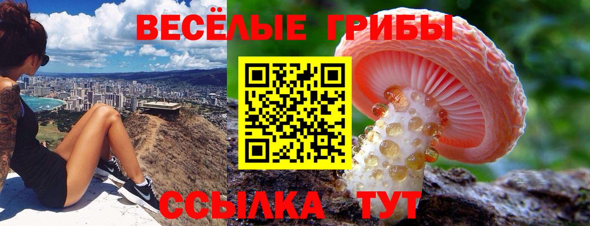 Галлюциногенные грибы мухоморы Кирово-Чепецк
